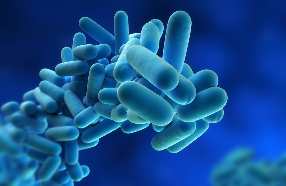 Understanding Legionella Bacteria in Las Vegas:  A Legal and Health Perspective